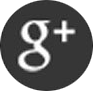 Google icon